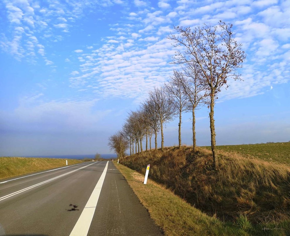 Hvad skal det nu til for?