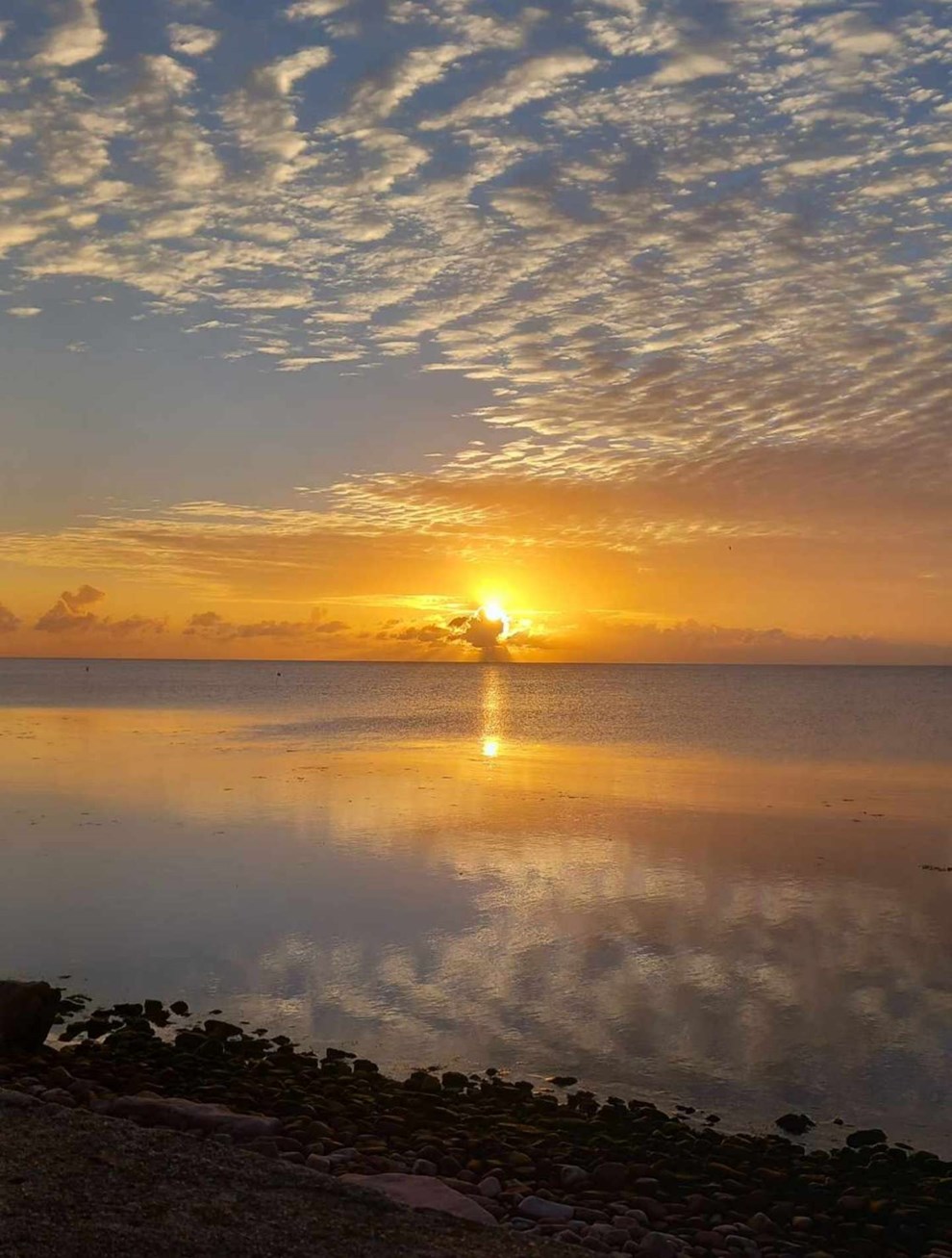 Dagens billede: Tidlig morgen i Nex�