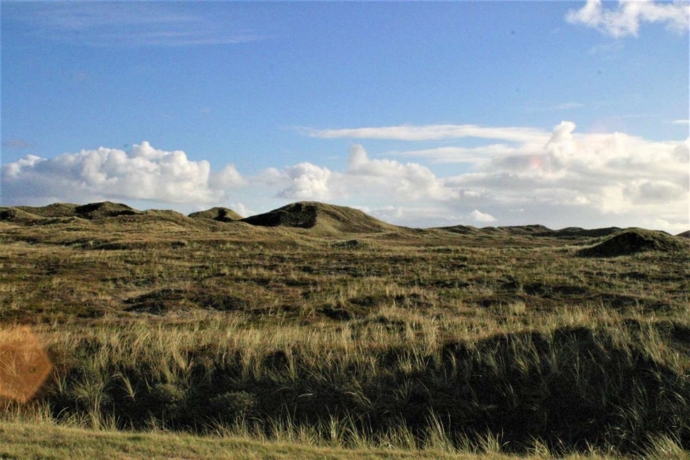 P tur p den bornholmske hede