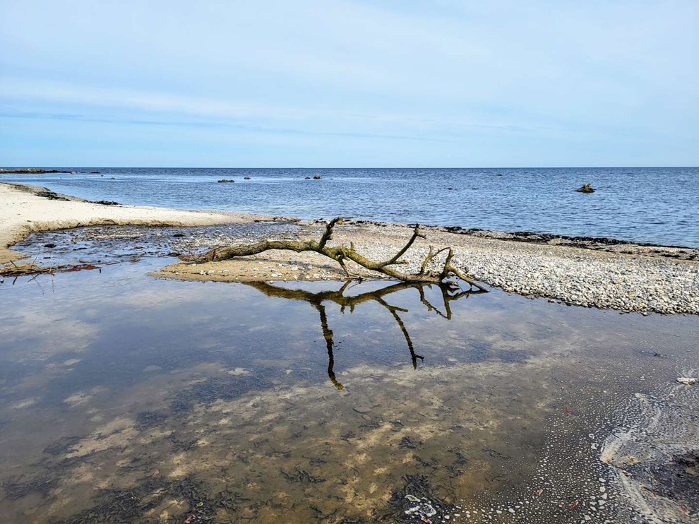 Dagens billede: Melsted strand