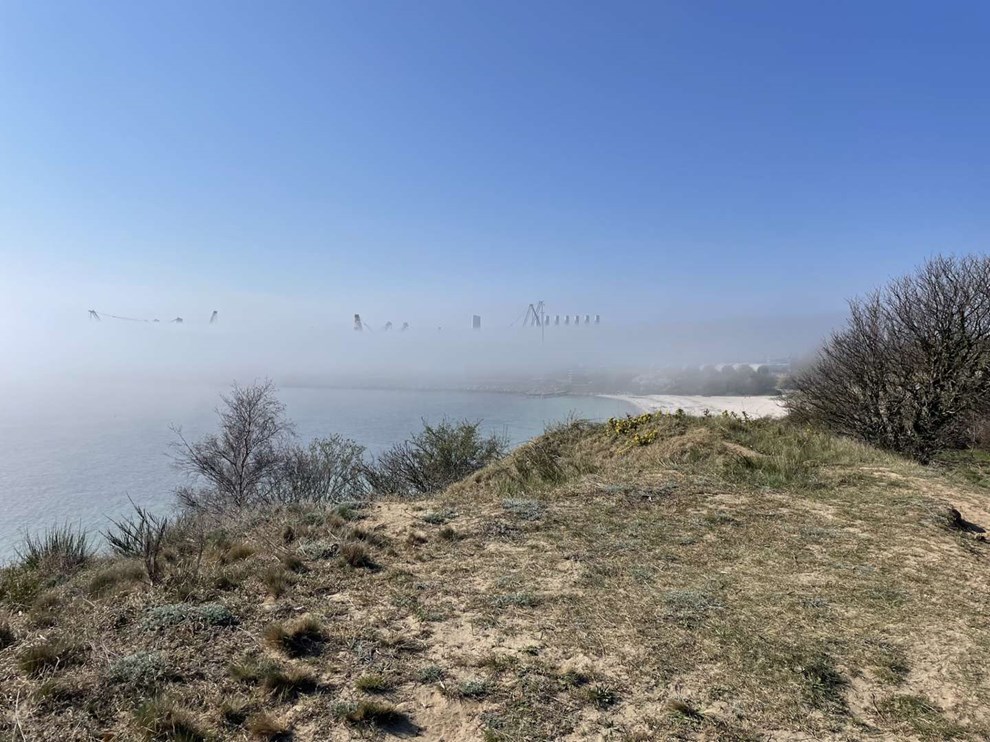 Dagens billede: Havgus i R�nne