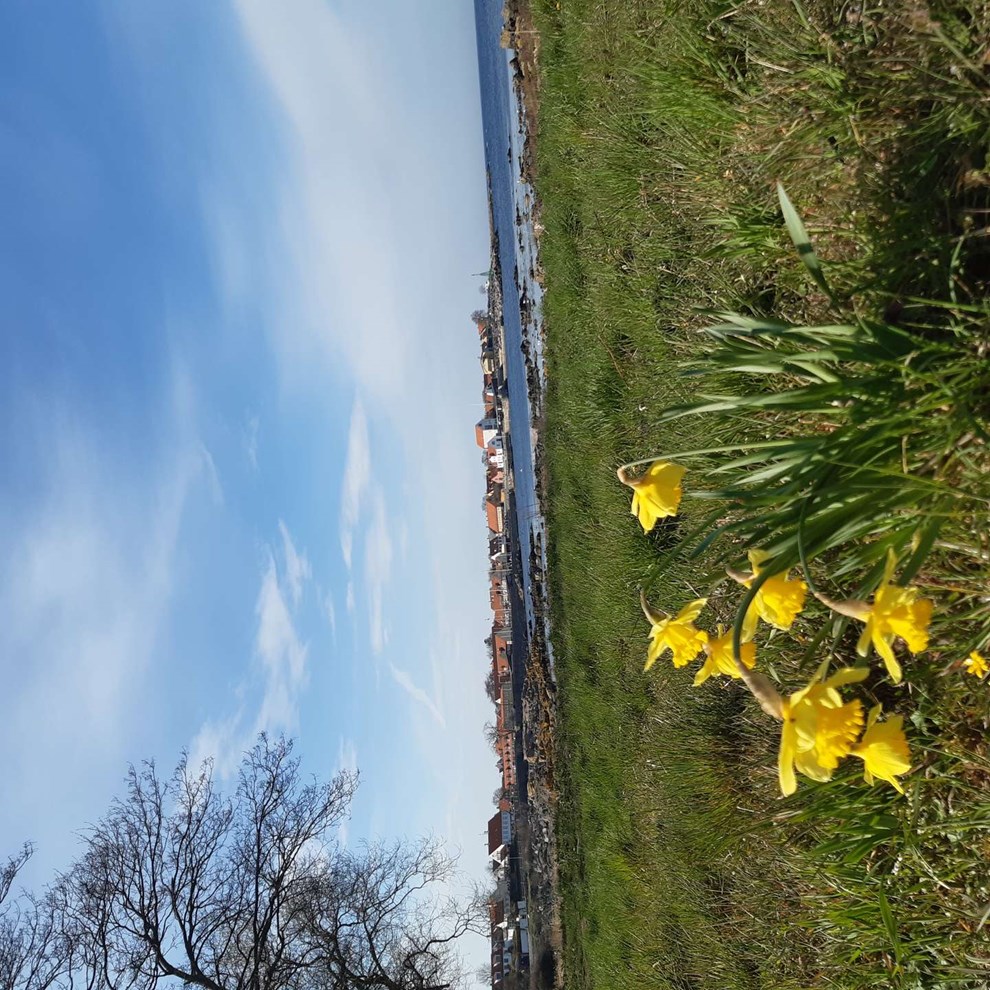 Dagens billede: Solskinsbyen Svaneke