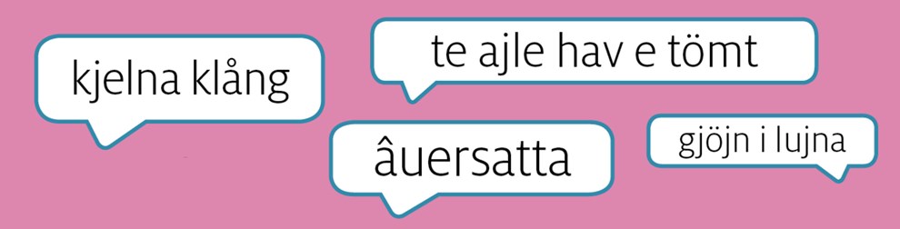 Nonna âuersatta dikt