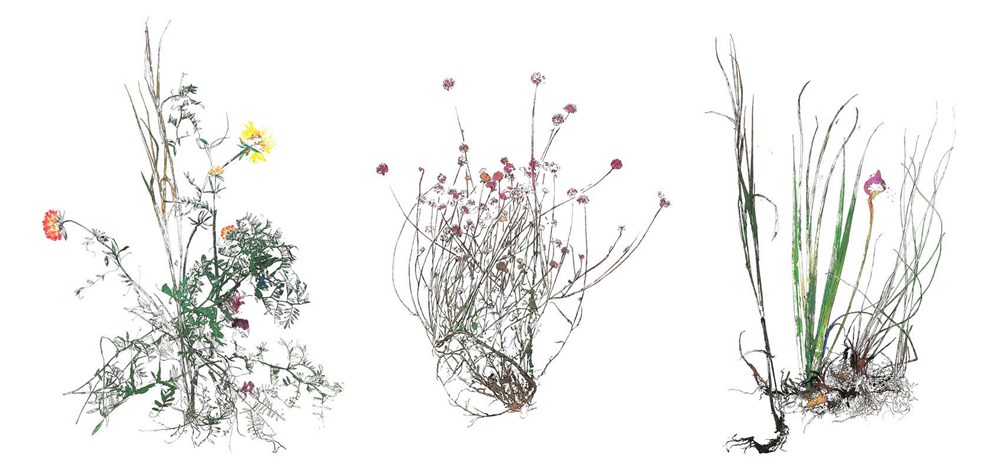 Ukendte v�rker kommer frem i lyset