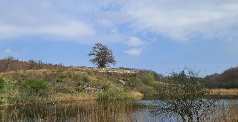 Dagens billede: Lilleborg set fra gangbroen Dagens billede: Lilleborg set fra gangbroen