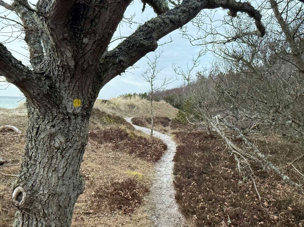 Bornholmerne kan tr�de ad nye stier