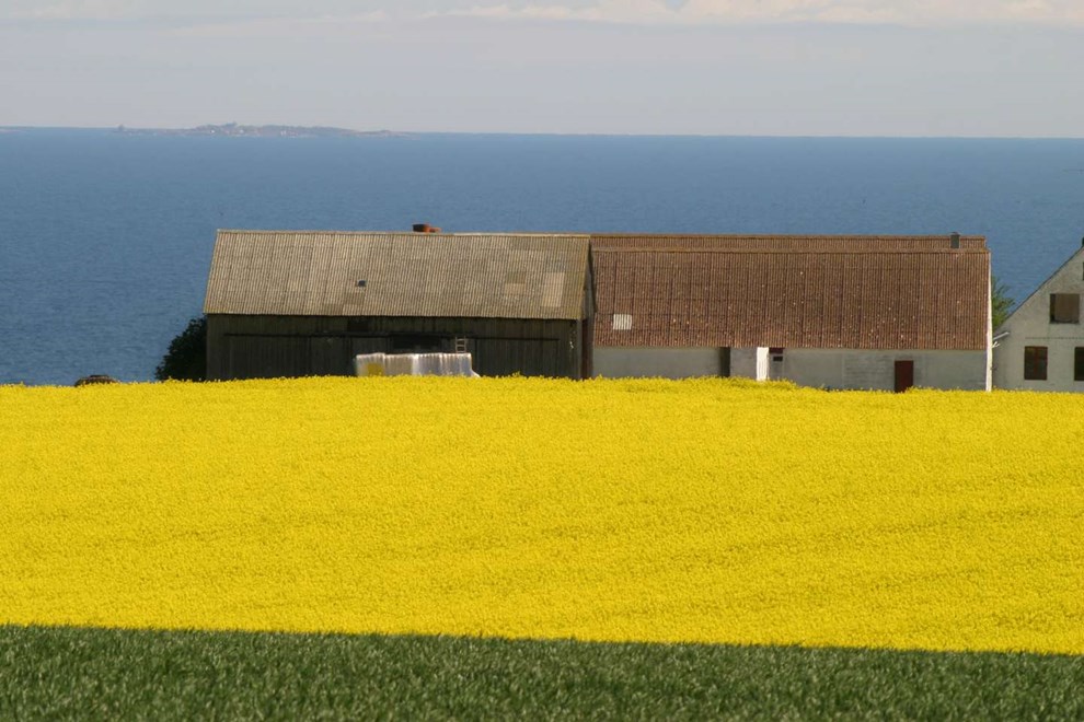 B�gen springer ud og temperaturen stiger