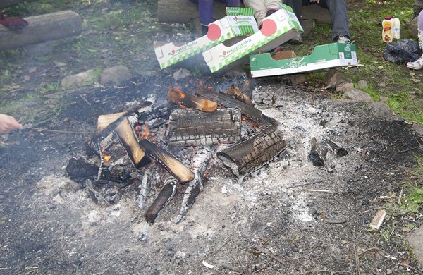 De fleste for�ldre kan ikke t�nde b�l uden lighter