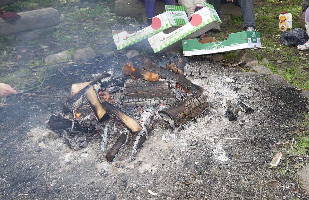 De fleste forældre kan ikke tænde bål uden lighter