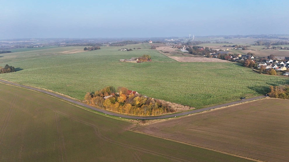 Er svineindustrien i busken?