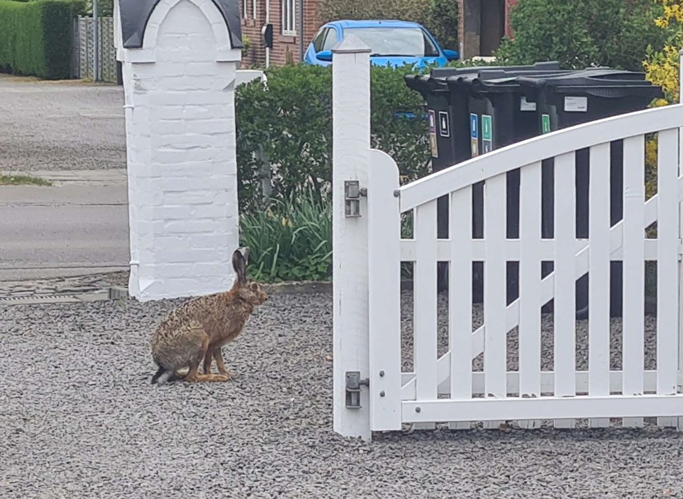 Dagens billede: Fint bes�g i R�nne