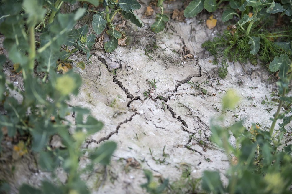 Nu bliver det for alvor trt