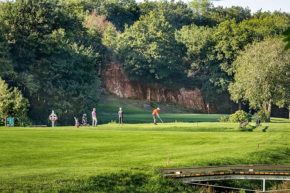 Planlgger fusion i R: 'Der har tit vret et nske om det'