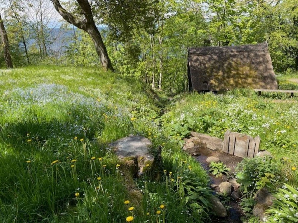 Dagens billede: Den gamle vandm�lle i Vang