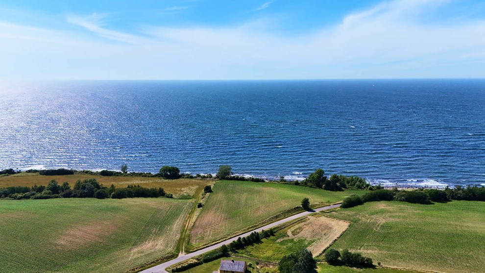 Nyt forslag: G�r �sters�en til en kunstig s�