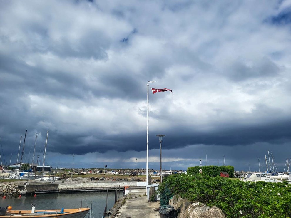 Dagens billede: Mere efter�r end for�r