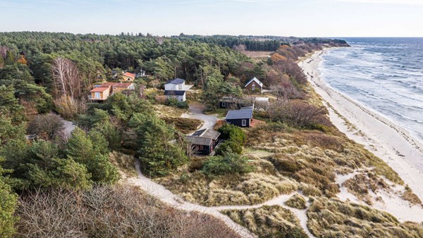Lugt og flagermus sp�nder ben for nye sommerhuse