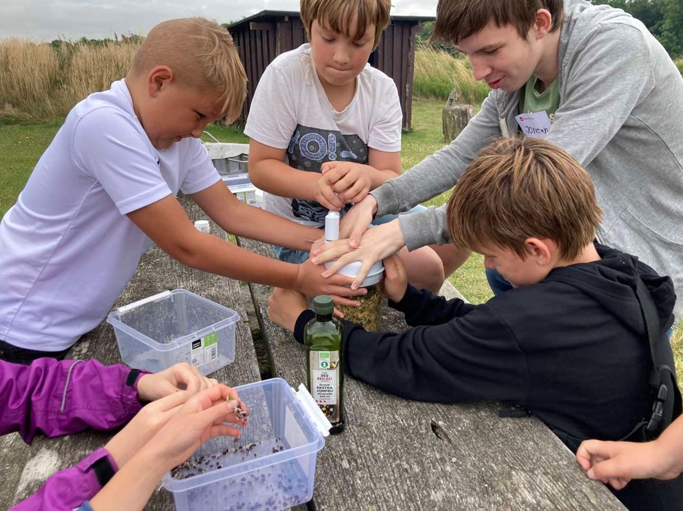 Nu bliver maden vild