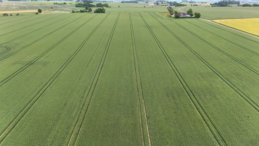 Hvad skal vi med landbruget og fdevarerne p Bornholm?