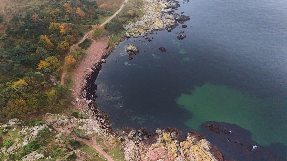 Nye tal: Farlige stoffer fundet i havet 