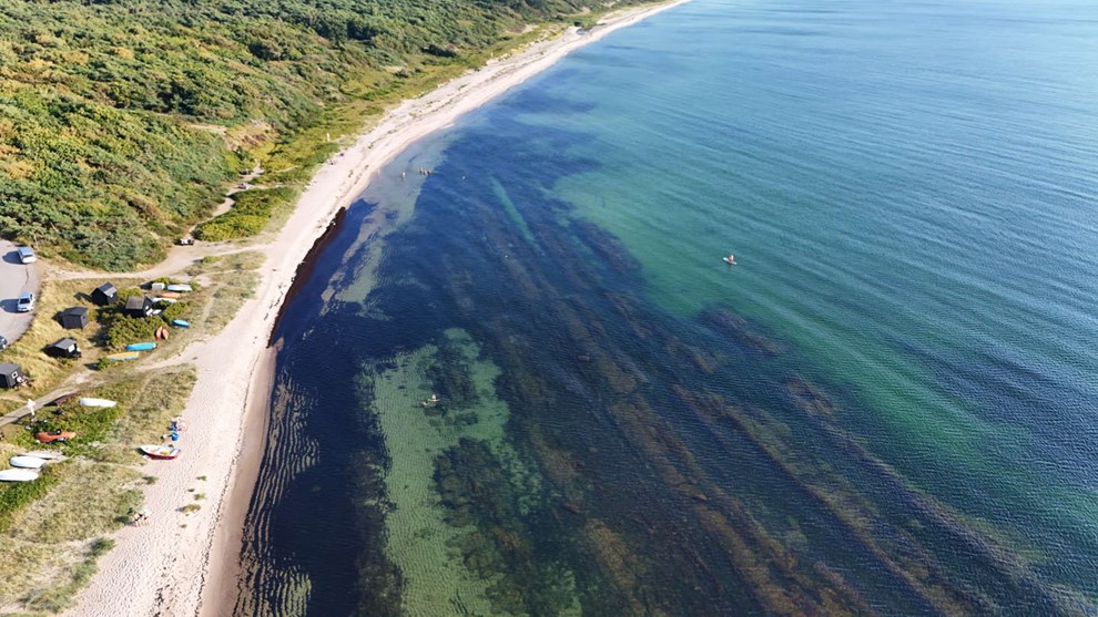 Forgiftning af vores vand skal stoppes Forgiftning af vores vand skal stoppes