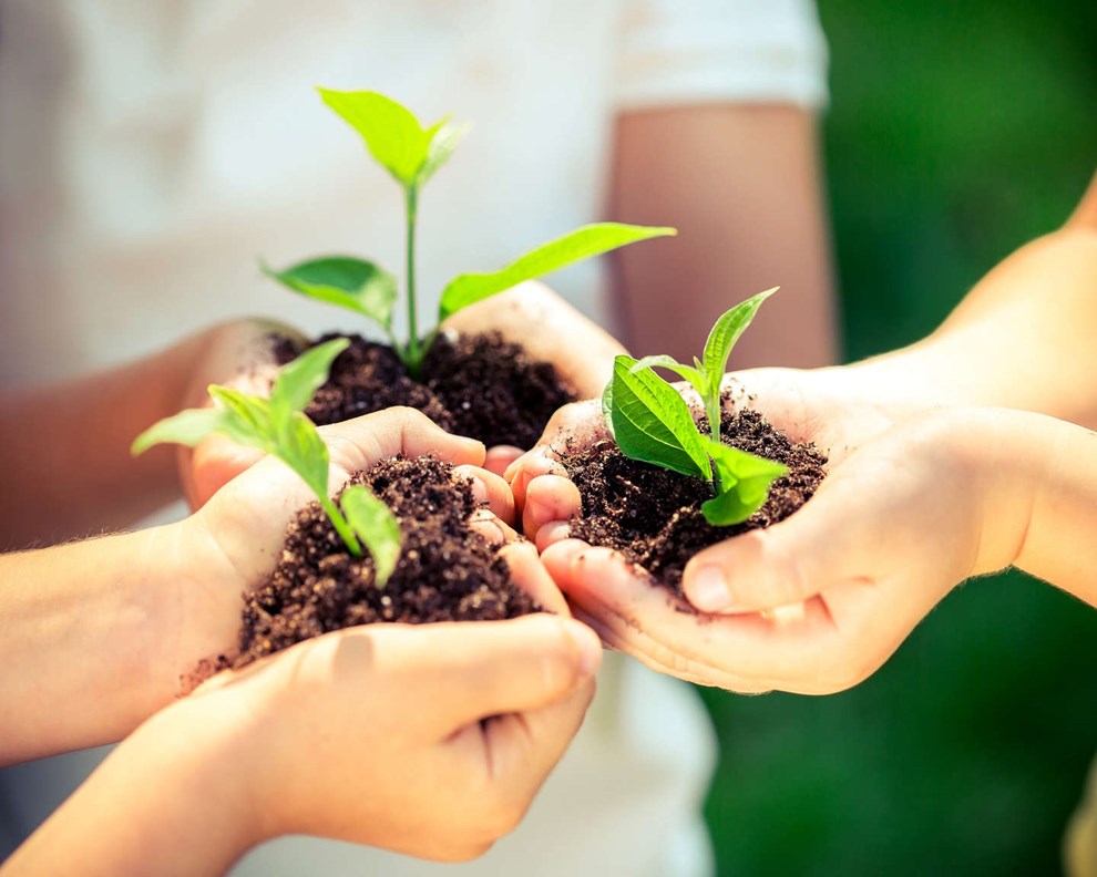 K�re Brevkasse: Tj�venhavnerf�lden