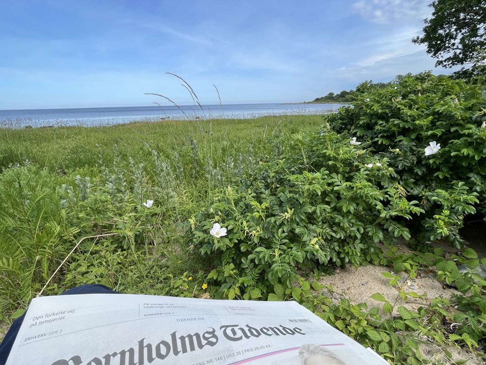 Dagens billede: Eftermiddagstur med Tidende