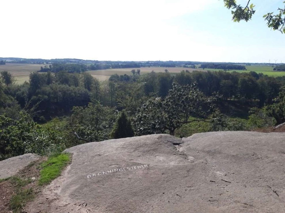 Vi skal have en Kongestenen!