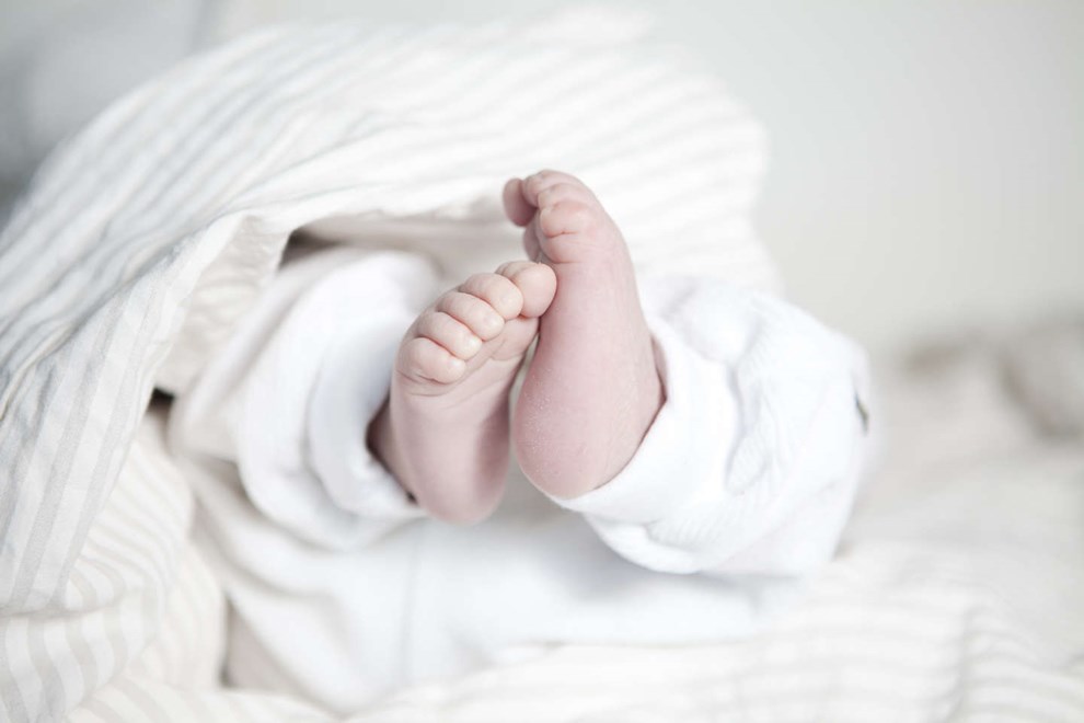 S mange fdsler forventer man i r