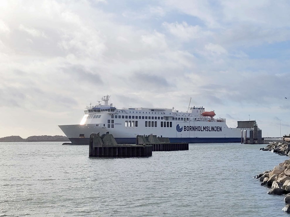 Billethajer i f�rgelejet