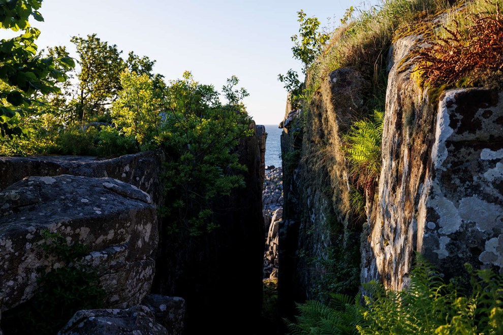 Solgt for millioner: Nu skal naturperle forvandles 