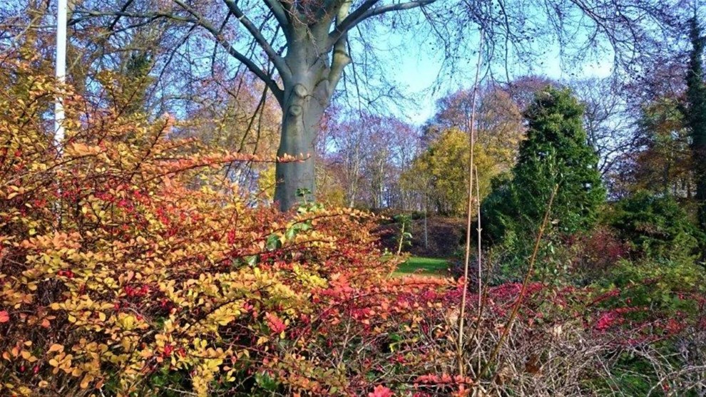 Naturens mangfoldighed