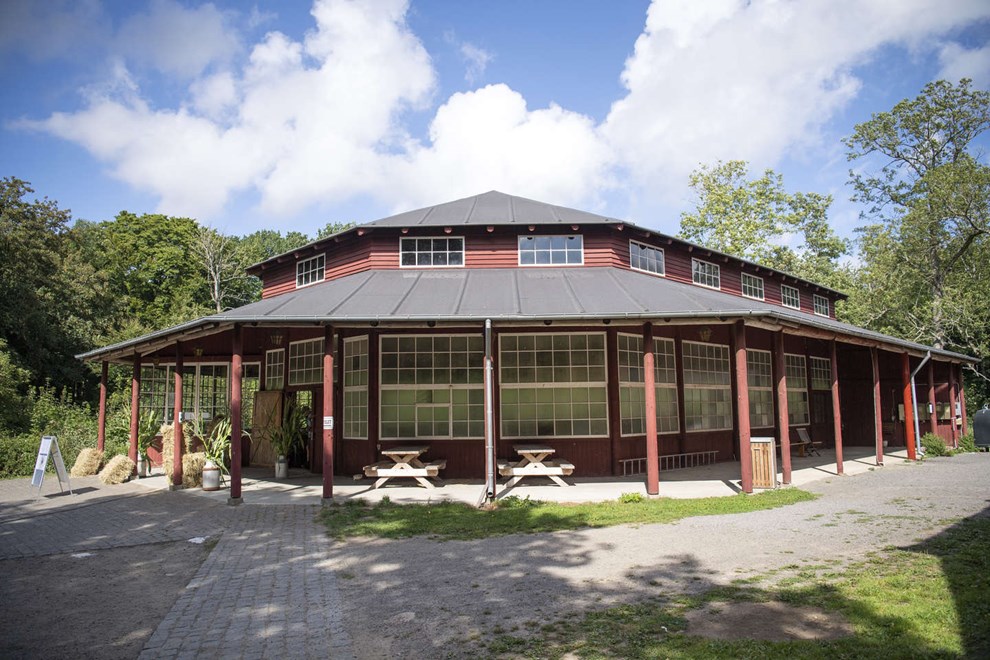 Kulturelle oplevelser: Et hæsblæsende tempo