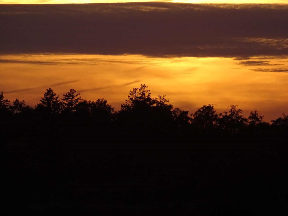 Mosens blinkende lygter i sommernatten Mosens blinkende lygter i sommernatten