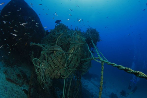1.000 b�jer skal rense havet for sp�gelsesnet