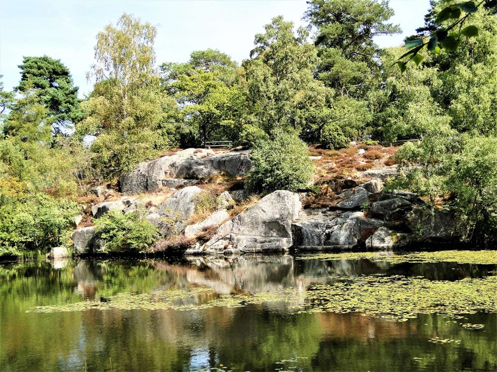 Ankermyrs hemmelighed og ækle blodsugende lægeigler Ankermyrs hemmelighed og ækle blodsugende lægeigler