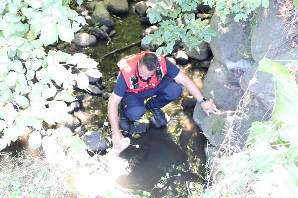 D�de fisk fundet i forurenet �