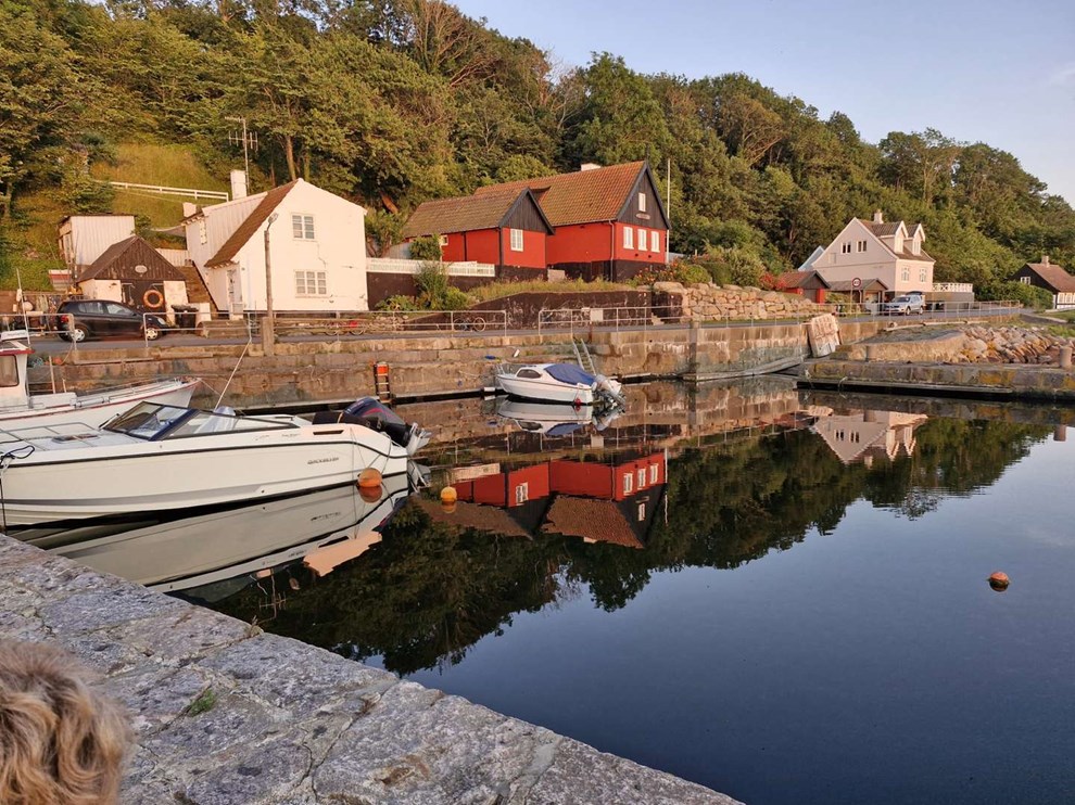 Dagens billede: Aftenstemning fra Teglk�s Havn