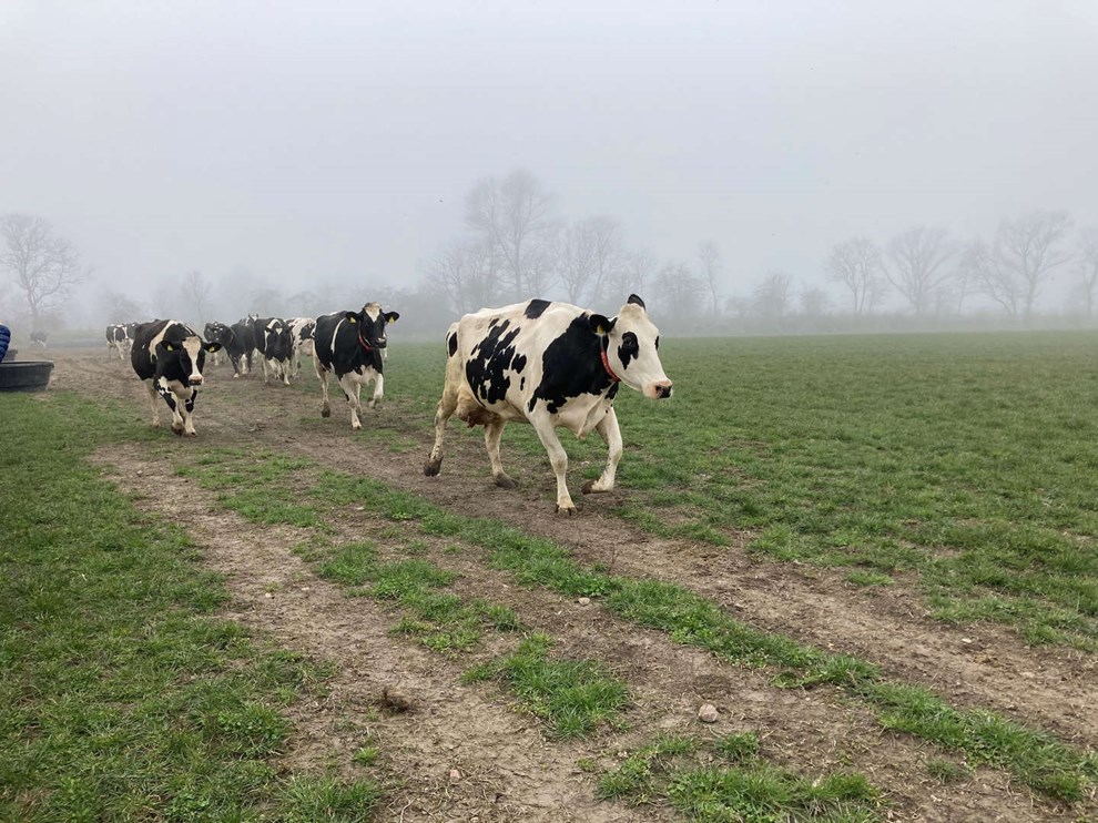 Leif Olsen: Hvorfor f�r landbruget rabat?