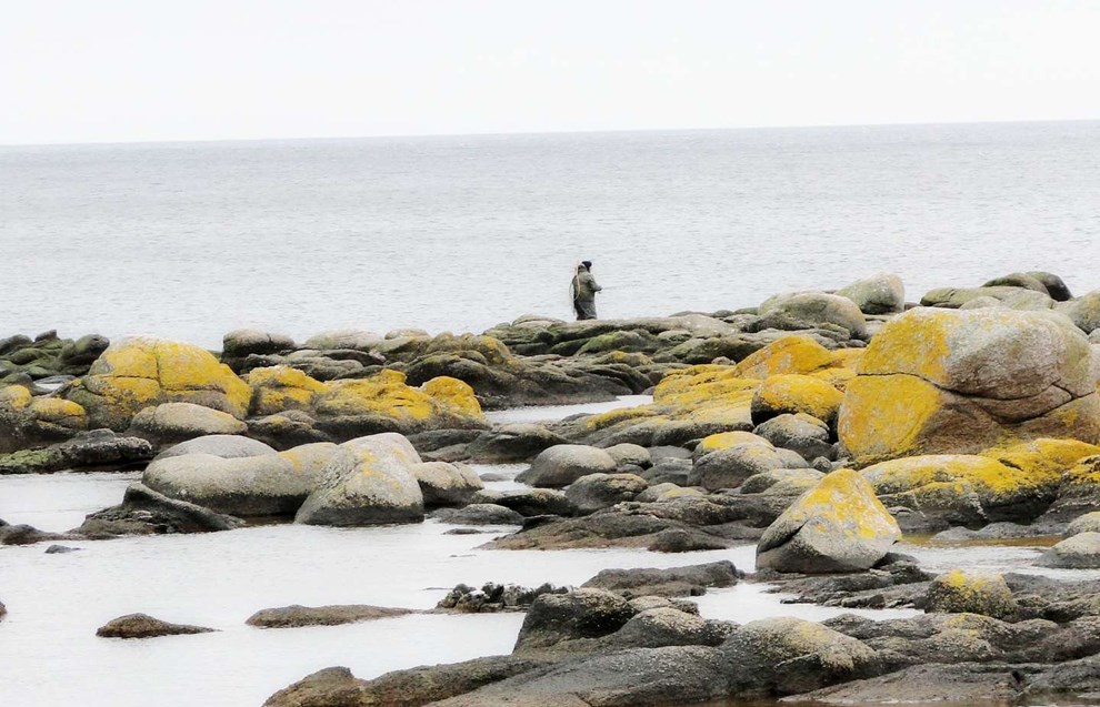 Bornholms sårbare natur Bornholms sårbare natur