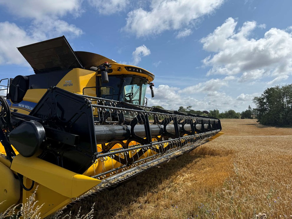 �t �nske til vejrguderne