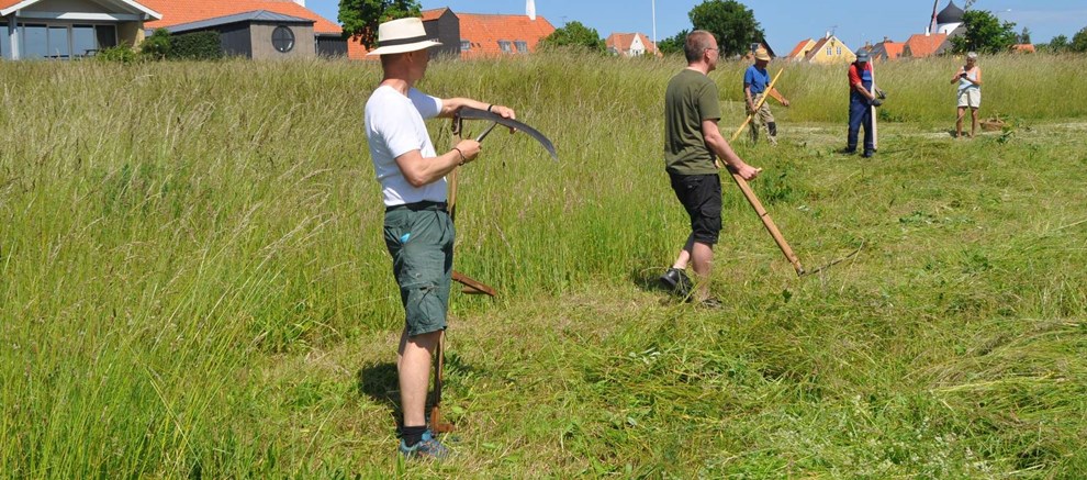 Sommerfuglemark hstes p gammeldags manr