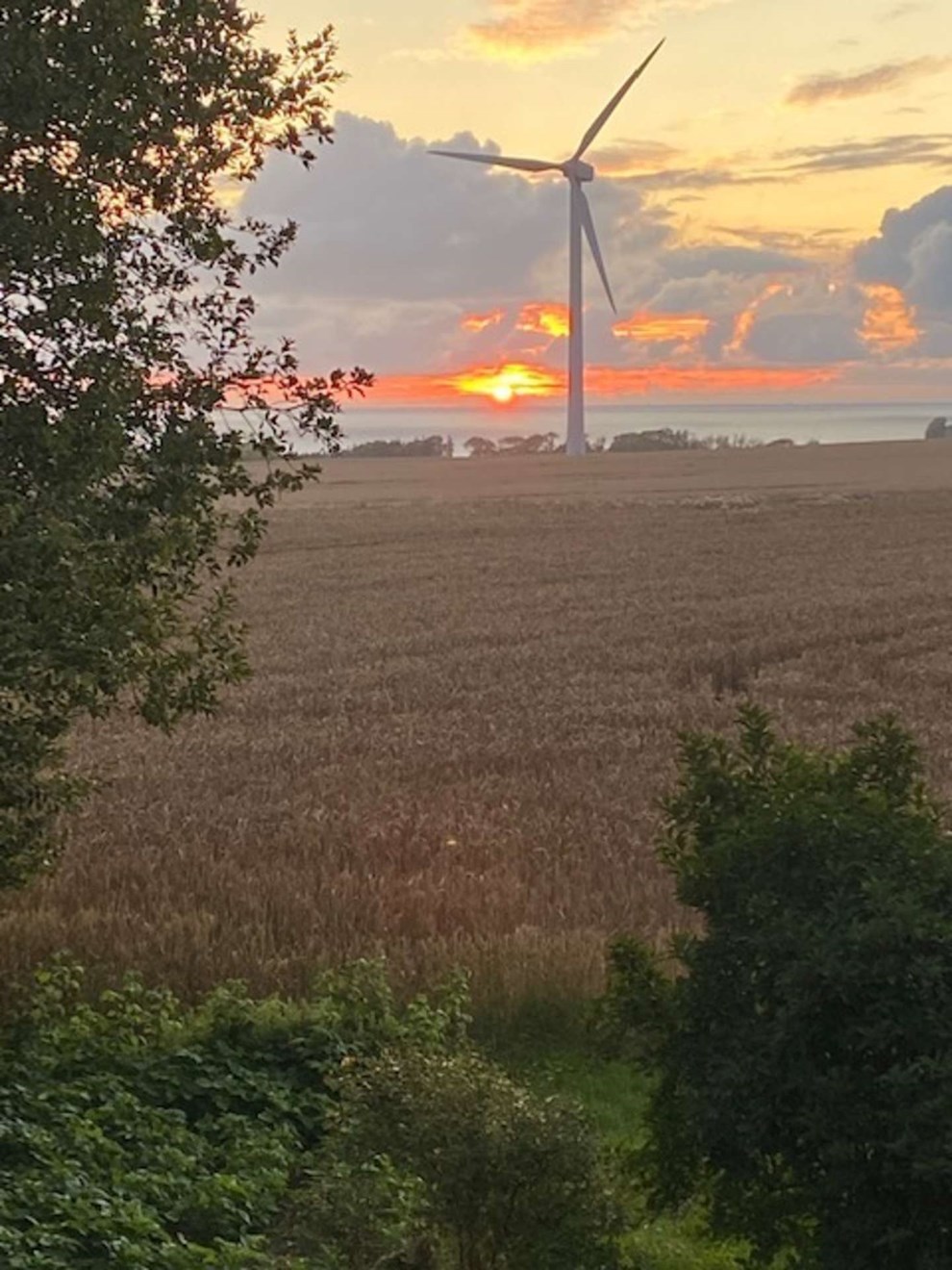 Dagens billede: Solnedgang i Rutsker