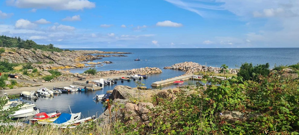 Dagens billede: Udsigt over Vigehavnen i Svaneke Dagens billede: Udsigt over Vigehavnen i Svaneke