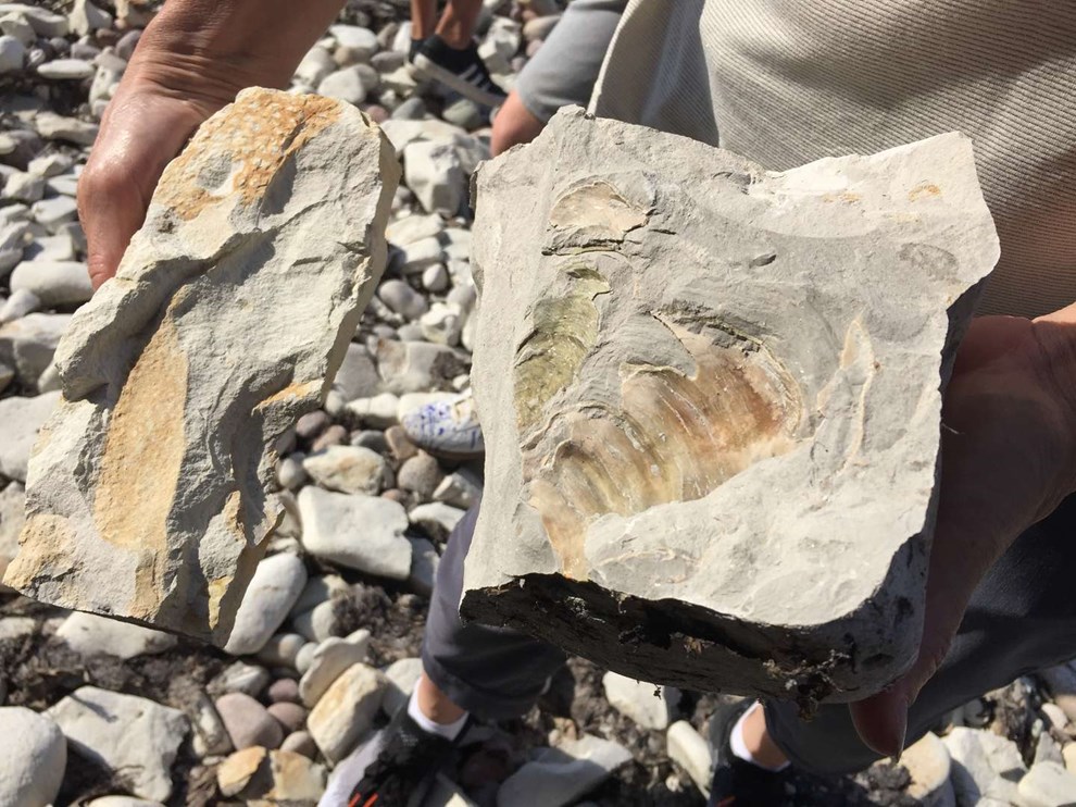 Naturklub med sre sten og edderkopper