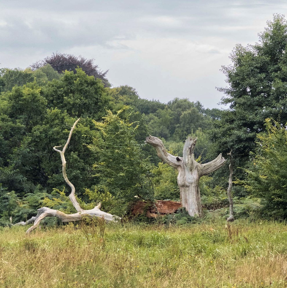 Vogteren har mistet sin top Vogteren har mistet sin top