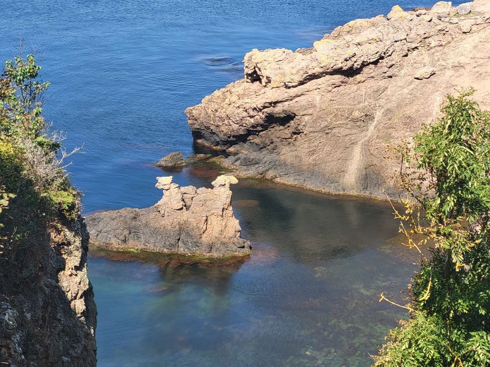 Dagens billede: Kamelerne og l�verne i sensommersol