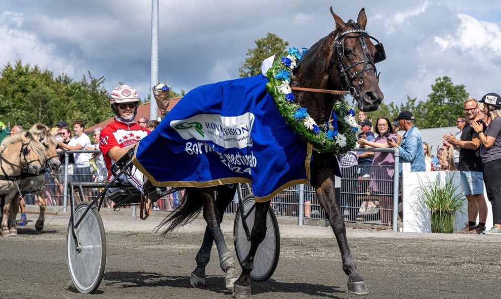 En festdag midt i skoven En festdag midt i skoven