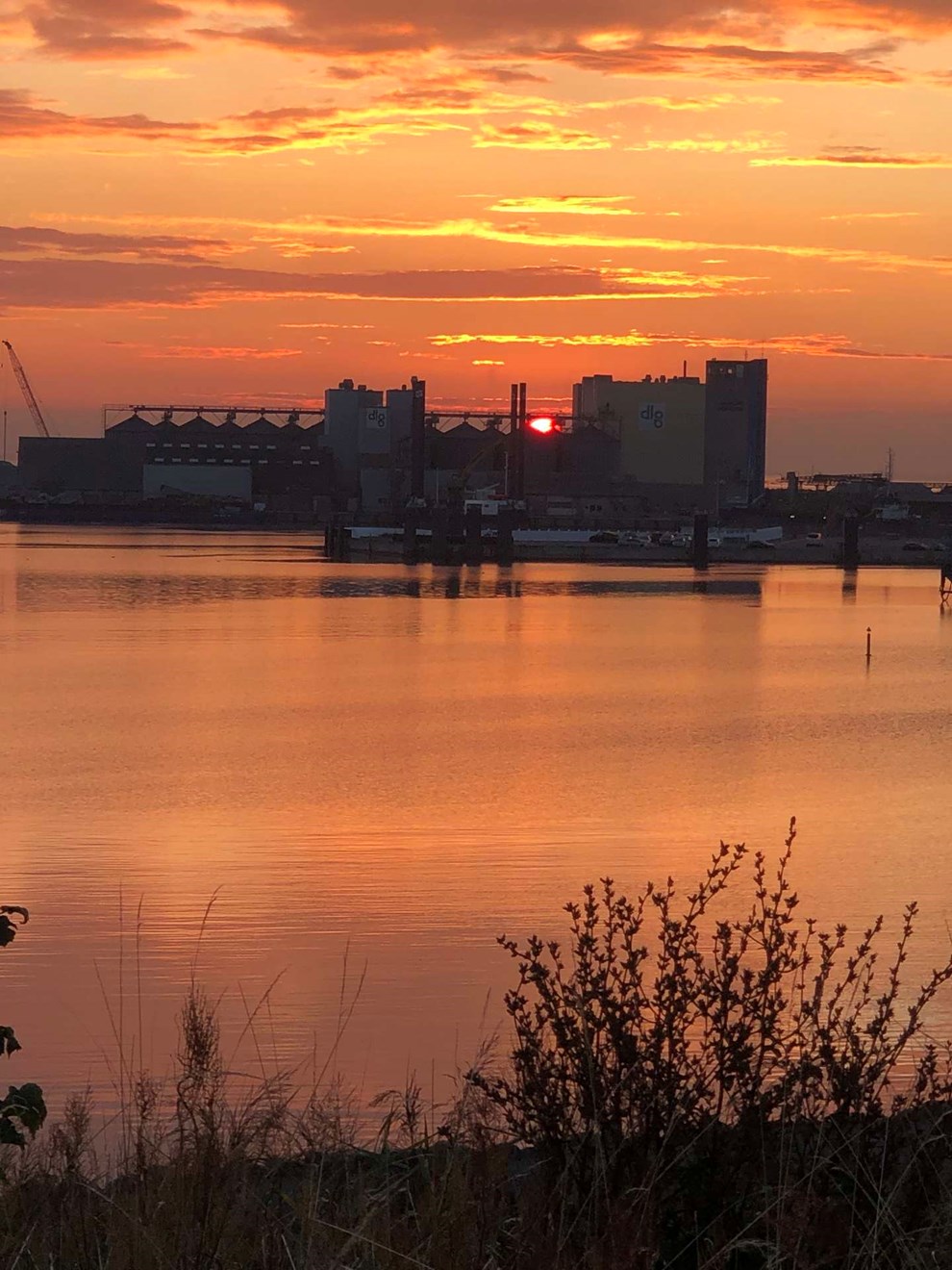 Dagens billede: Jeg vil male himlen gul