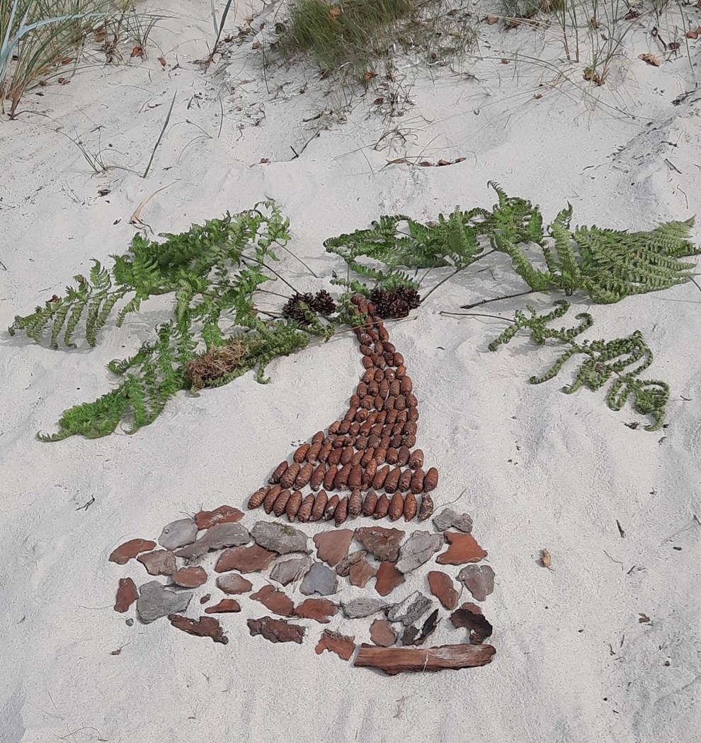 Dagens billede: Palm Beach på Bornholm Dagens billede: Palm Beach på Bornholm